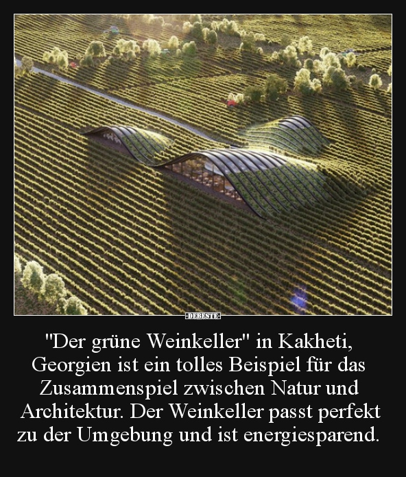 "Der grüne Weinkeller" in Kakheti, Georgien ist ein..