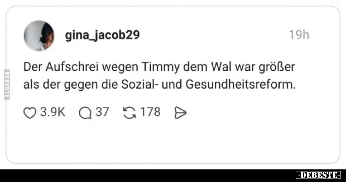 Der Aufschrei wegen Timmy dem Wal war größer als der gegen die Sozial- und Gesundheitsreform.
