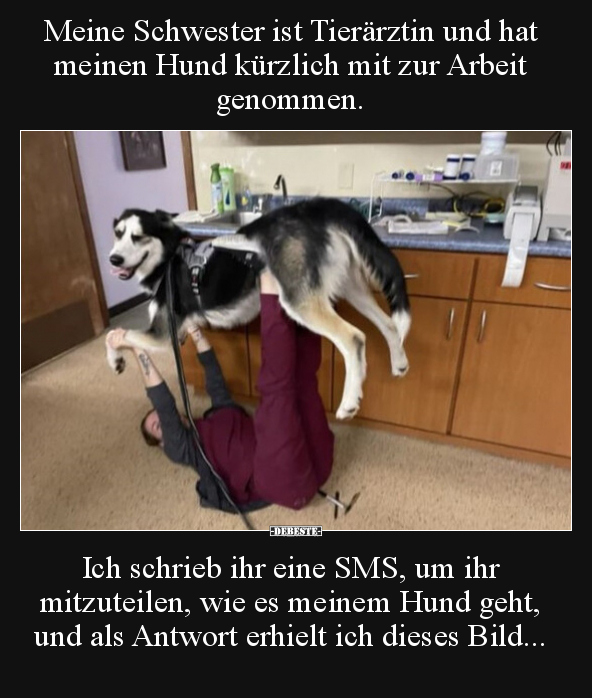 Meine Schwester ist Tierärztin und hat meinen Hund kürzlich.. - Lustige Bilder | DEBESTE.de