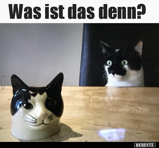 Was ist das denn?..