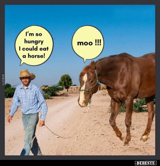 I'm so hungry I could eat a horse! - Moo!