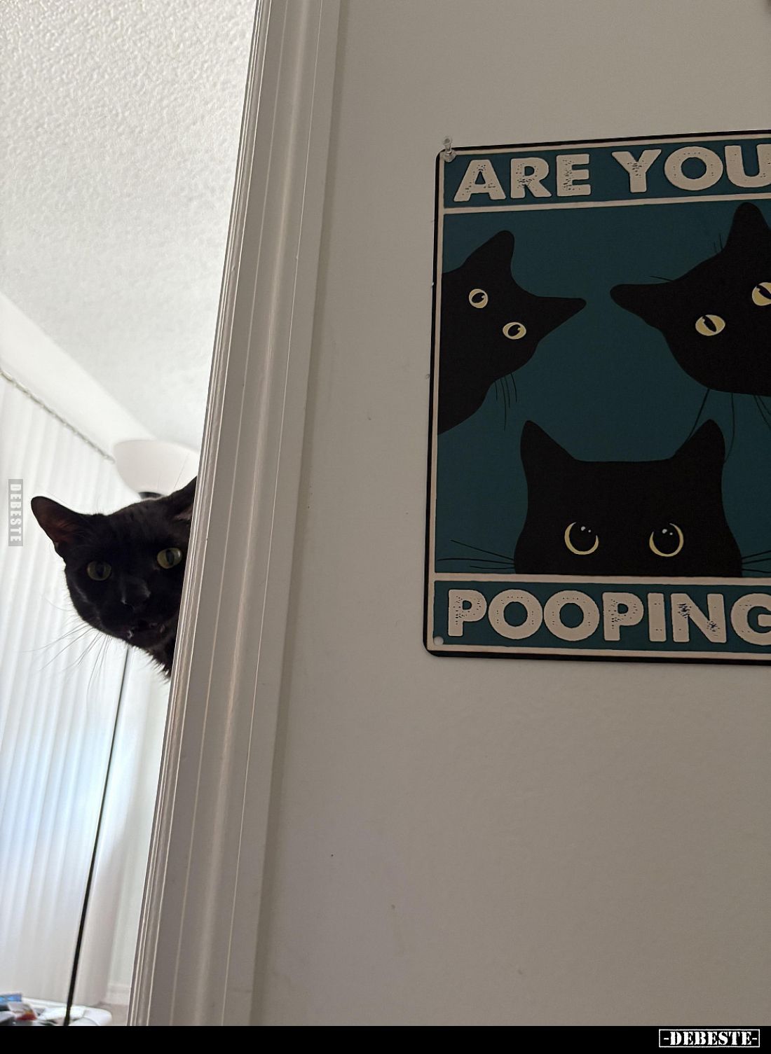 Are you pooping ?