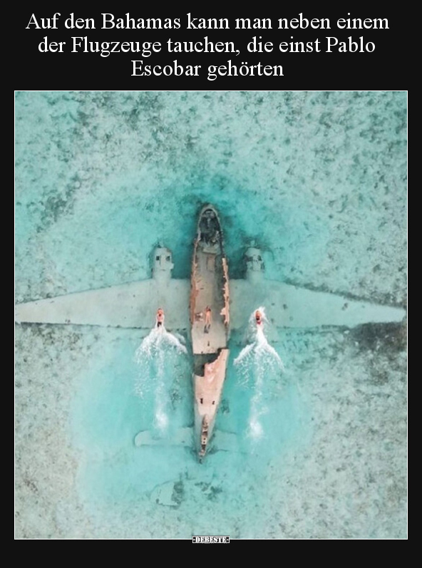 Auf den Bahamas kann man neben einem der Flugzeuge tauchen.. - Lustige Bilder | DEBESTE.de