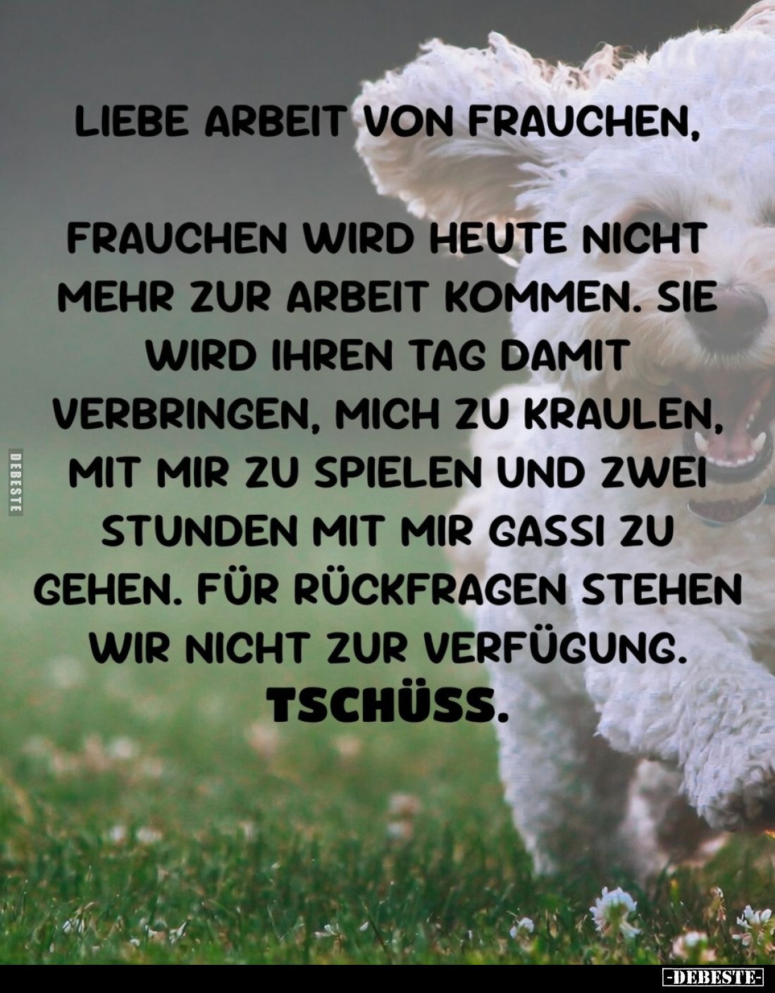 Liebe Arbeit von Frauchen,
Frauchen wird heute nicht mehr zur Arbeit kommen. Sie wird ihren Tag damit verbringen, mich zu kr...