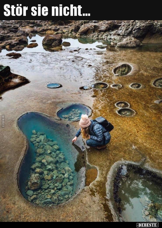 Stör sie nicht...