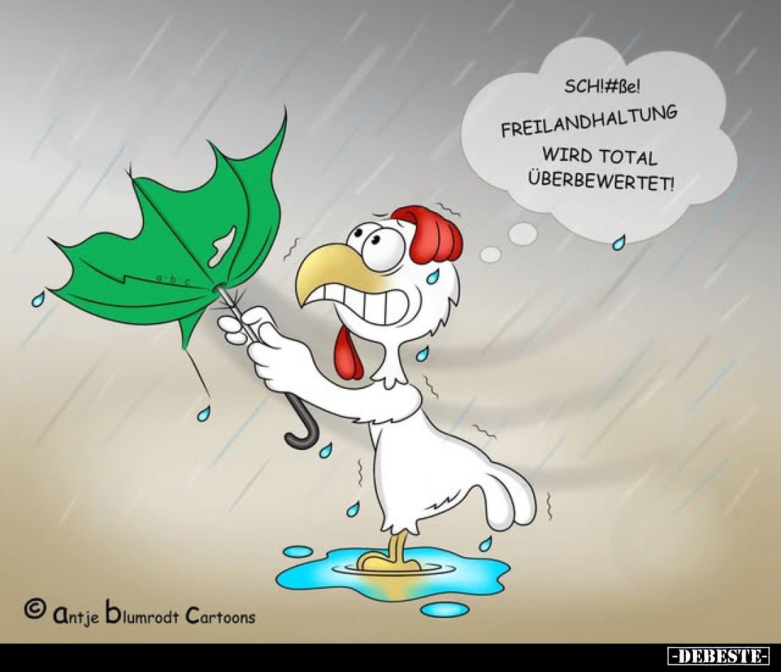 Sch!#ße! Freilandhaltung wird total überbewertet!