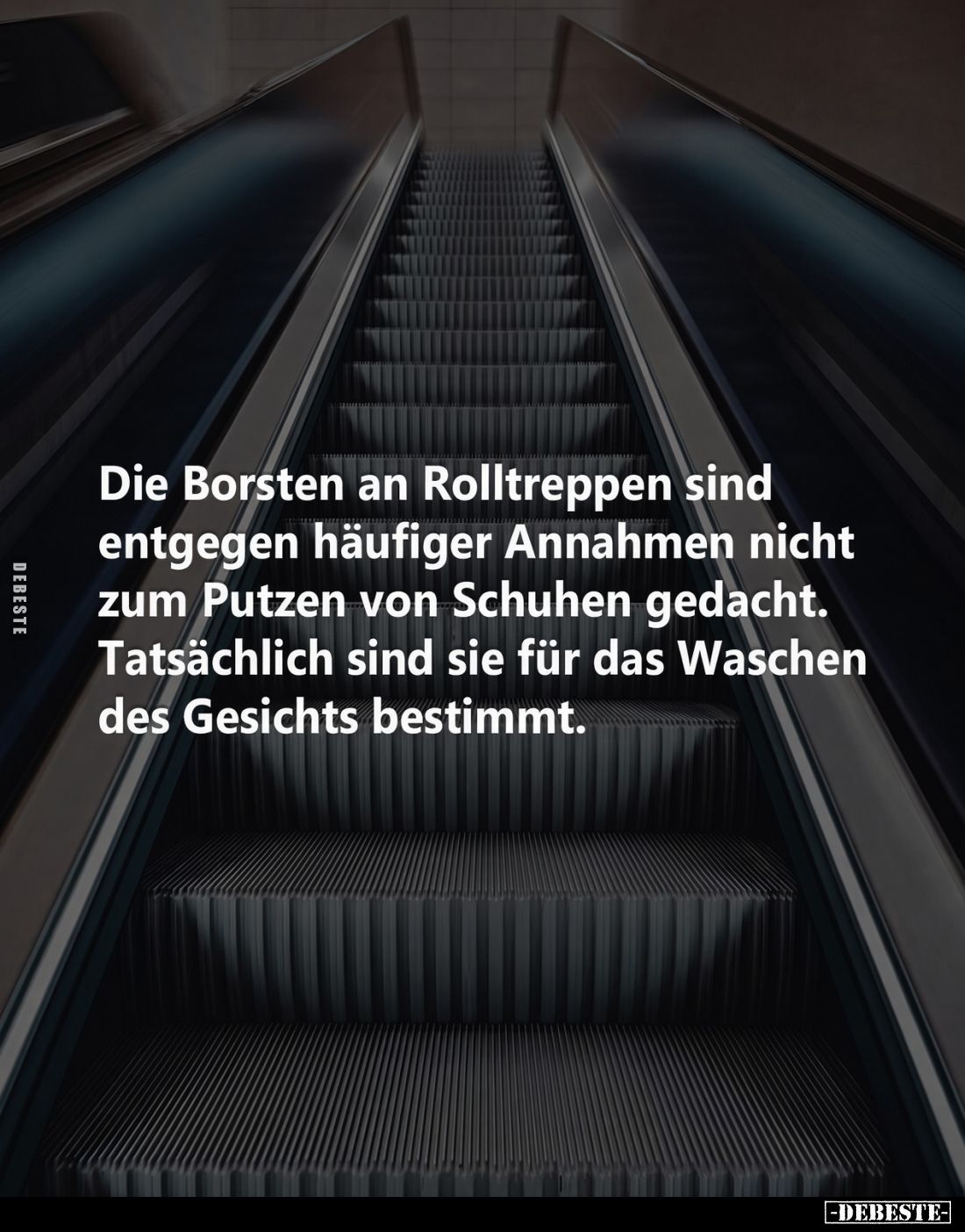 Die Borsten an Rolltreppen sind entgegen häufiger Annahmen nicht zum Putzen von Schuhen gedacht. Tatsächlich sind sie für das...