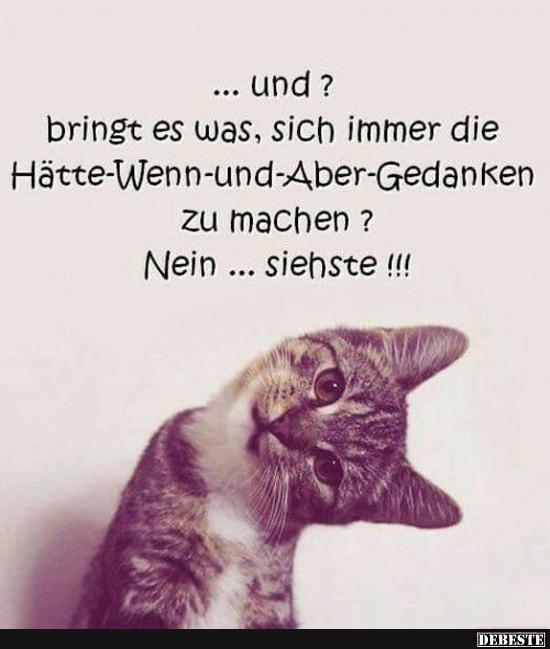 ... und? bringt es was, sich immer die Hätte-wenn-und-Aber-Gedanken..