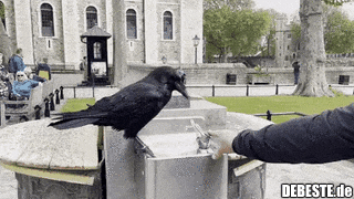  - Lustige Bilder | DEBESTE.de