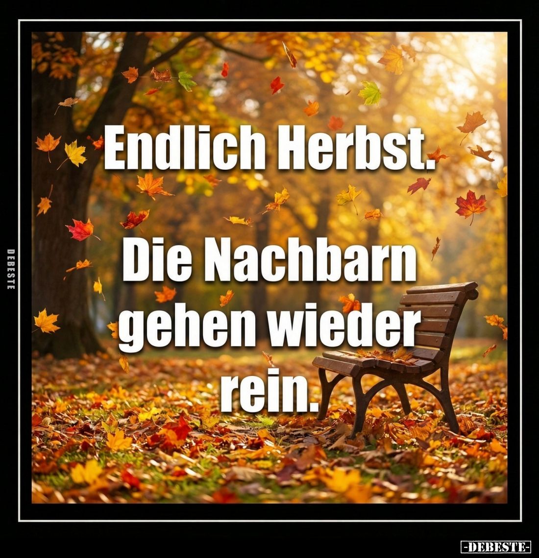 Endlich Herbst.
Die Nachbarn gehen wieder rein.