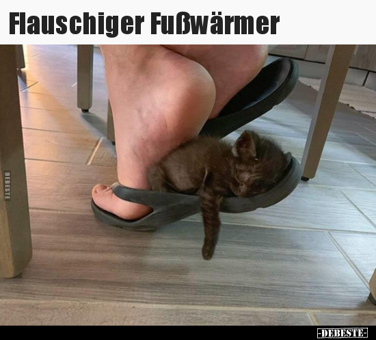 Flauschiger Fußwärmer.. - Lustige Bilder | DEBESTE.de