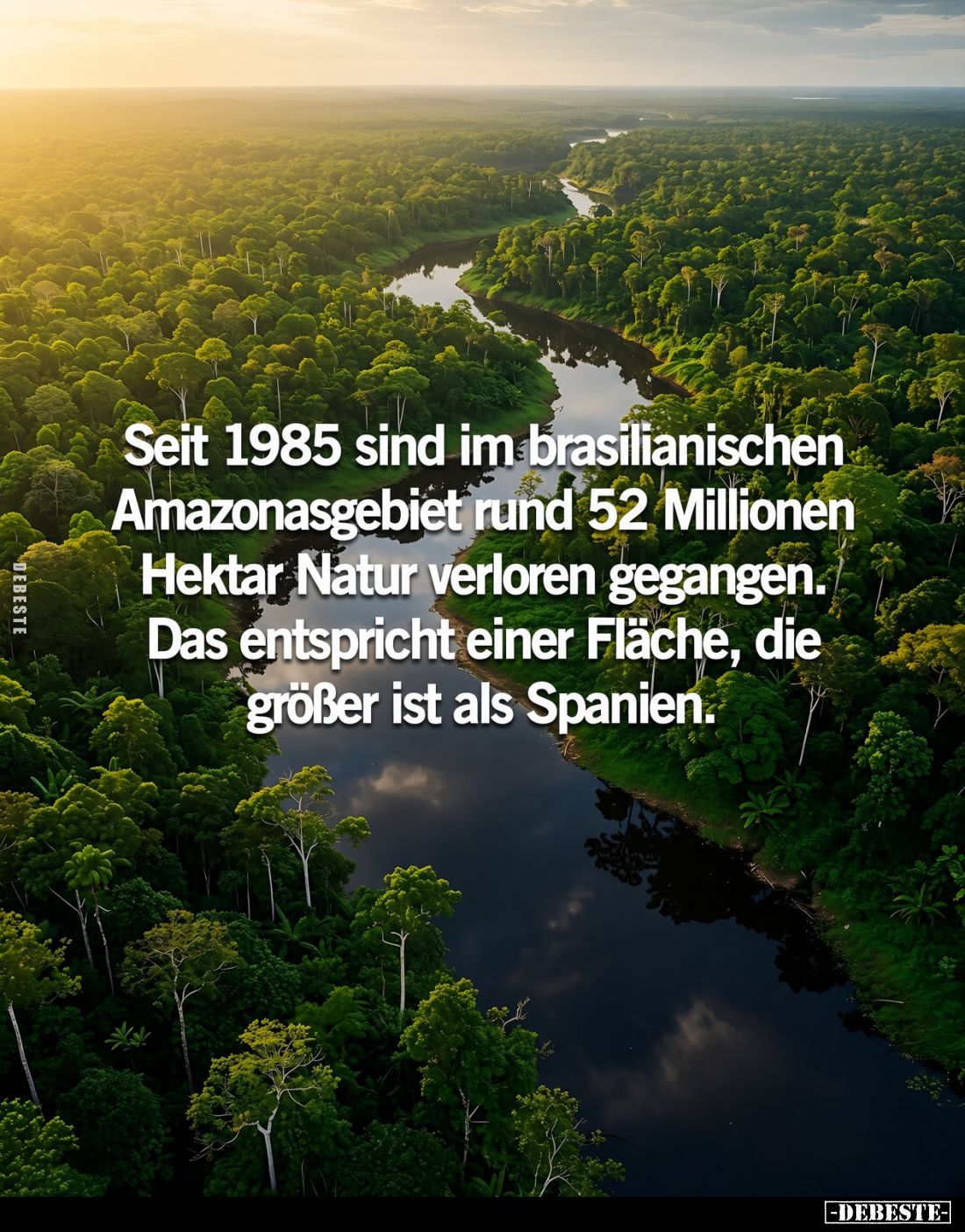 Seit 1985 sind im brasilianischen Amazonasgebiet rund 52 Millionen Hektar Natur verloren gegangen. Das entspricht einer Fläch...