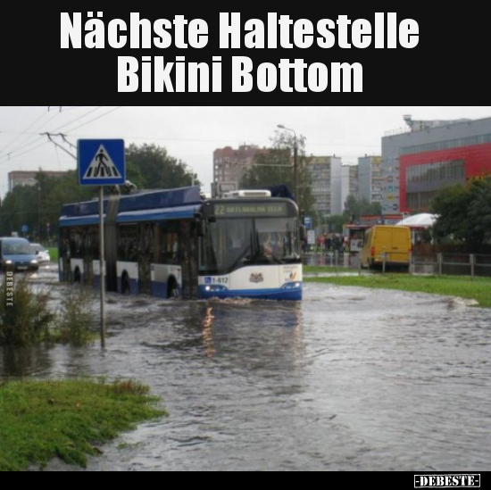 Nächste Haltestelle Bikini Bottom.. - Lustige Bilder | DEBESTE.de