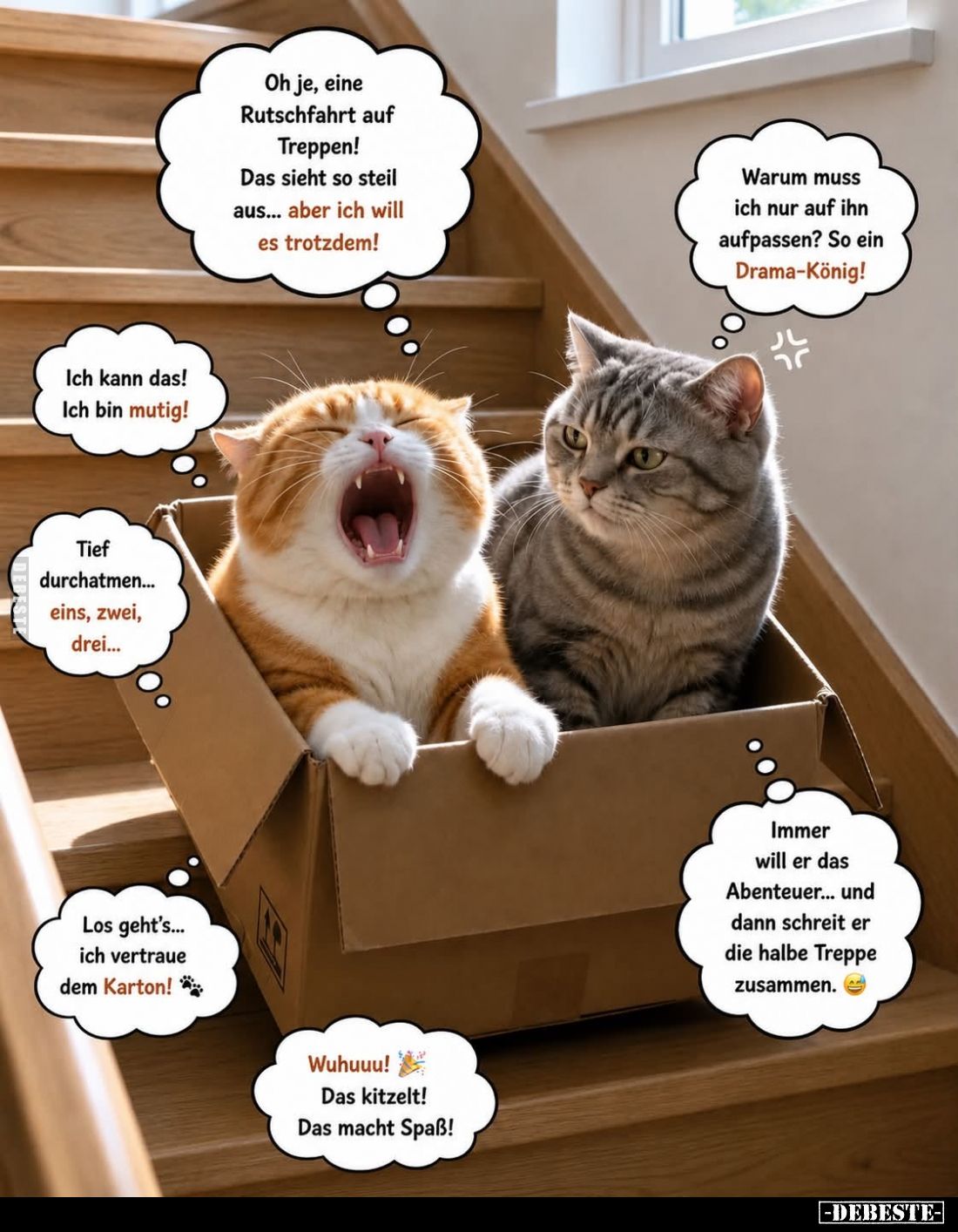 Oh je, eine Rutschfahrt auf Treppen! Das sieht so steil aus... aber ich will es trotzdem! -
Warum muss ich nur auf ihn aufpa...