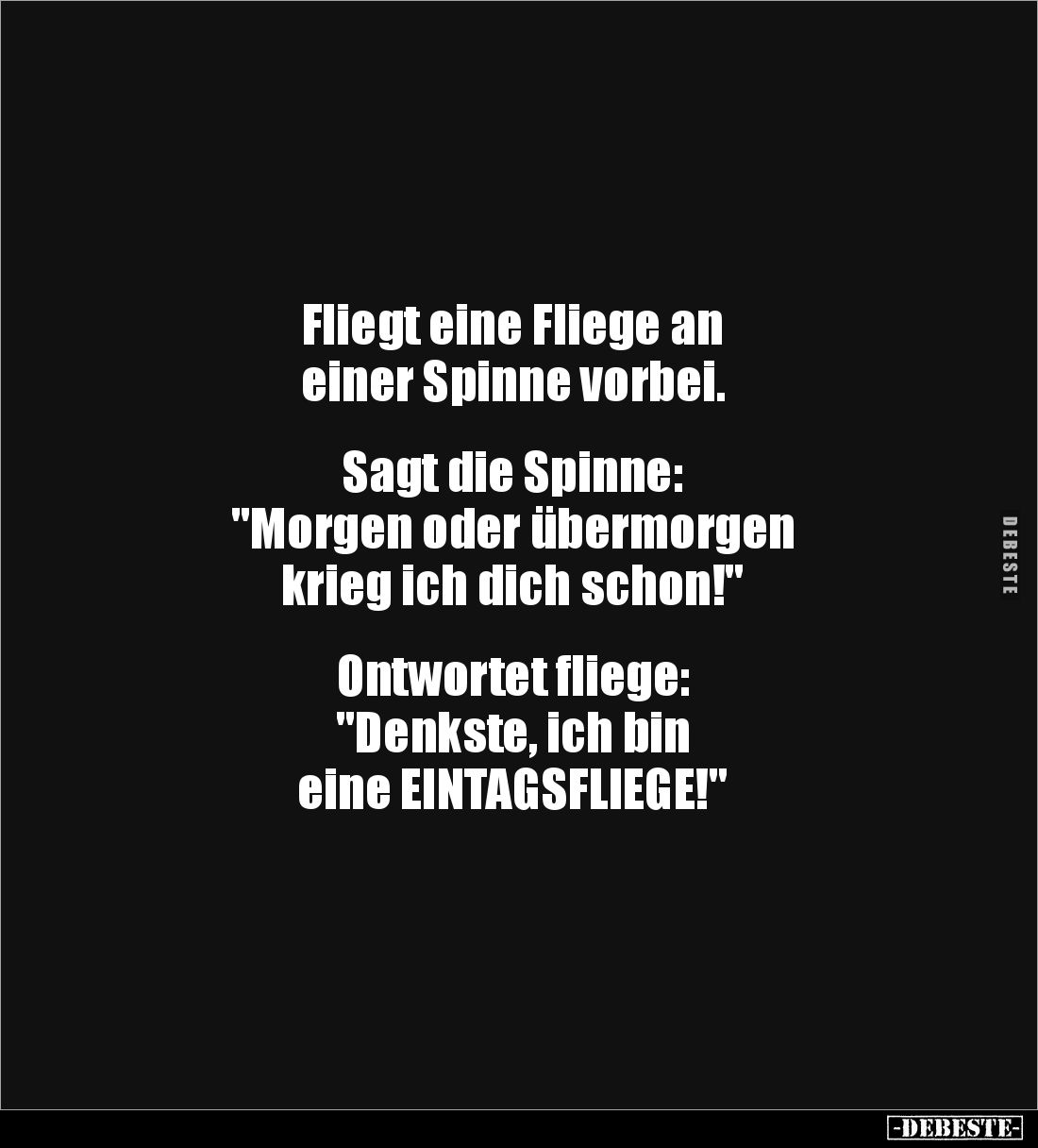 Fliegt eine Fliege an
einer Spinne vorbei.
Sagt die Spinne:
"Morgen oder übermorgen
krieg ich dich schon!&quo...