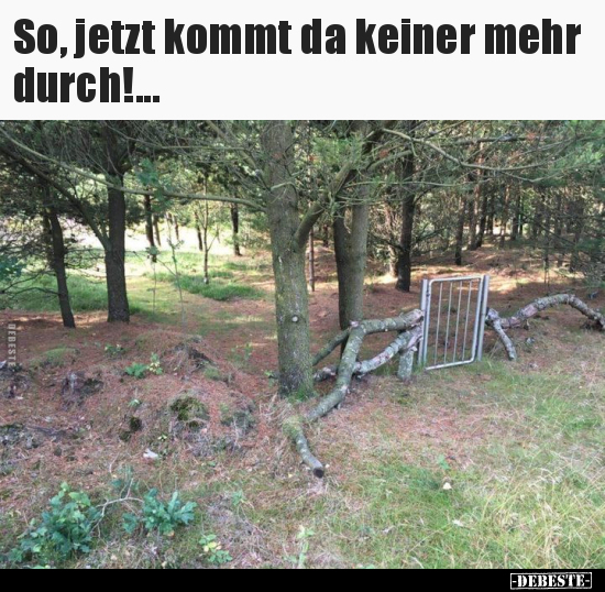 So, jetzt kommt da keiner mehr durch!... - Lustige Bilder | DEBESTE.de