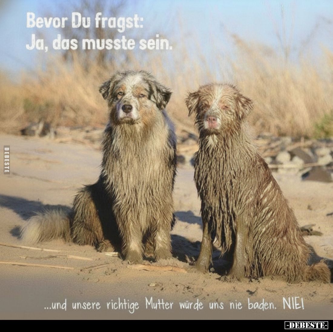 Bevor Du fragst: Ja, das musste sein.
...und unsere richtige Mutter würde uns nie baden. NIEI
