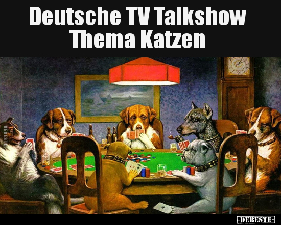 Lustige Bilder zum Thema: Katzen, Katze, Deutsche, Deutsch