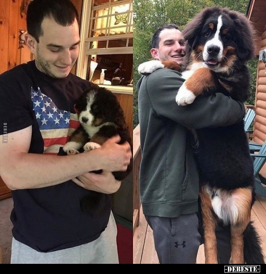  - Lustige Bilder | DEBESTE.de