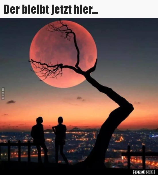 Der bleibt jetzt hier...
