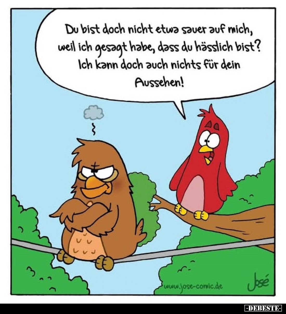 Du bist doch nicht etwa sauer auf mich, weil ich gesagt habe, dass du hässlich bist? Ich kann doch auch nichts für dein Ausse...