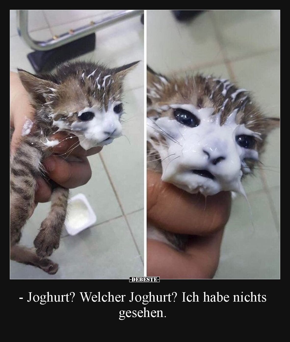 - Joghurt? Welcher Joghurt? Ich habe nichts gesehen... - Lustige Bilder | DEBESTE.de