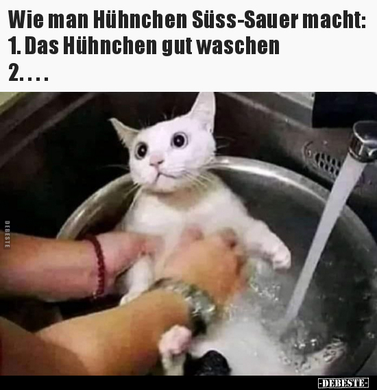 Wie man Hühnchen Süss-Sauer macht:.. - Lustige Bilder | DEBESTE.de