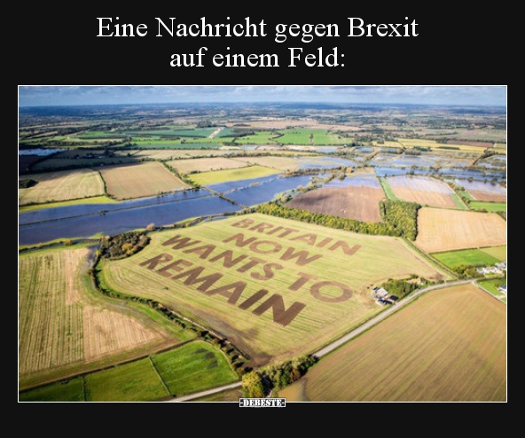 Eine Nachricht gegen Brexit auf einem Feld.. - Lustige Bilder | DEBESTE.de