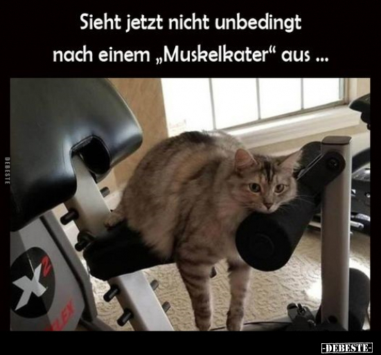 Sieht jetzt nicht unbedingt nach einem "Muskelkater".. - Lustige Bilder | DEBESTE.de