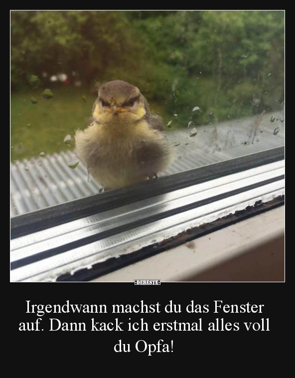 Irgendwann machst du das Fenster auf.. - Lustige Bilder | DEBESTE.de