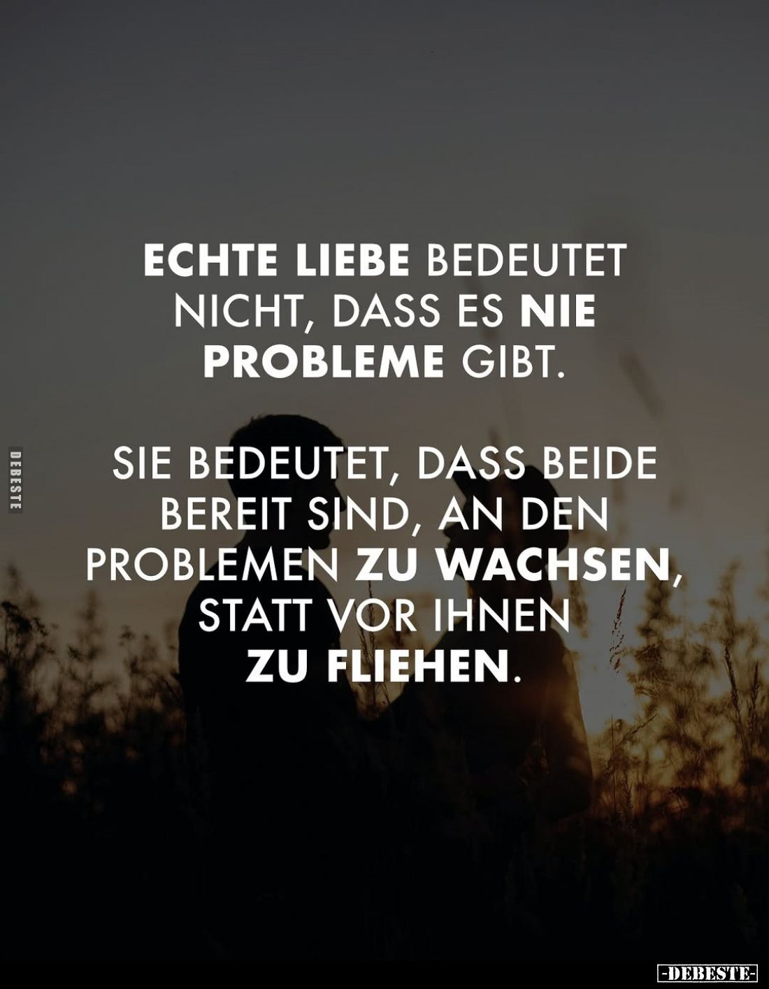 Echte Liebe bedeutet nicht, dass es nie Probleme gibt.
Sie bedeutet, dass beide bereit sind, an den Problemen zu wachsen, st...