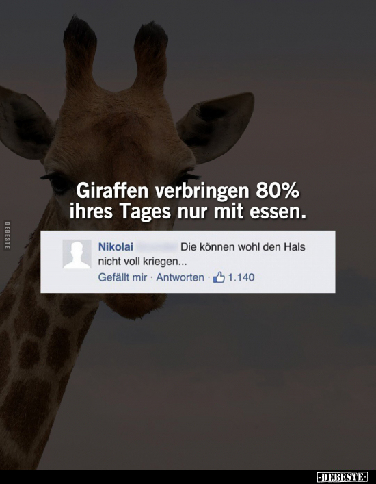 Giraffen verbringen 80% ihres Tages nur mit essen.. - Lustige Bilder | DEBESTE.de