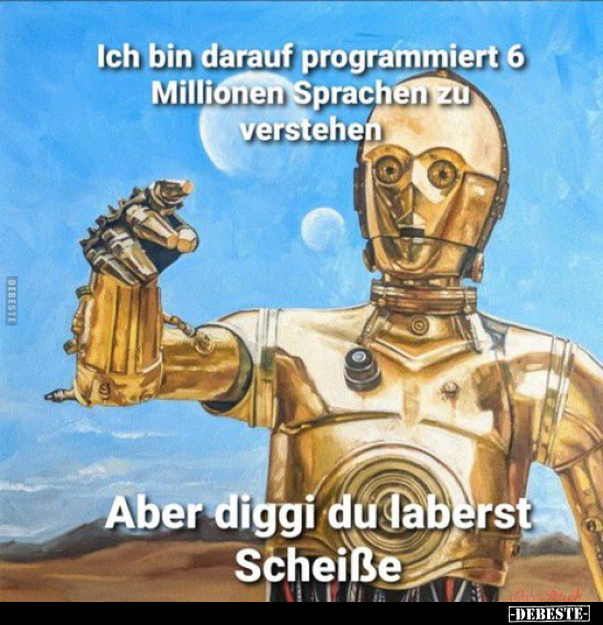 Ich bin darauf programmiert 6 Millionen Sprachen.. - Lustige Bilder | DEBESTE.de