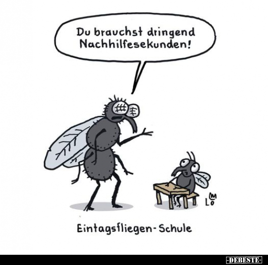 Eintagsfliegen-Schule.. - Lustige Bilder | DEBESTE.de