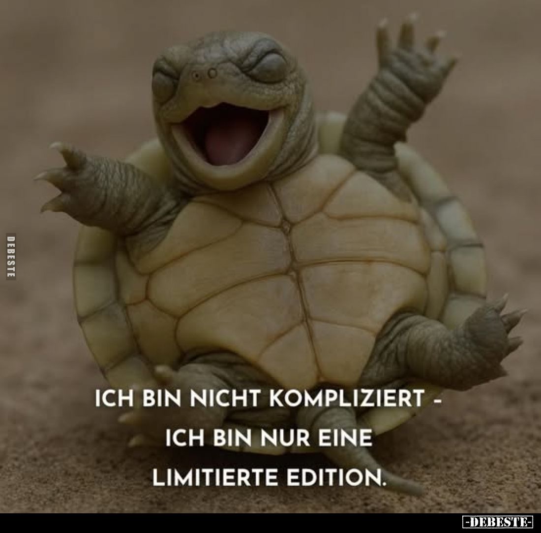 Ich bin nicht kompliziert - ich bin nur eine limitierte.. - Lustige Bilder | DEBESTE.de