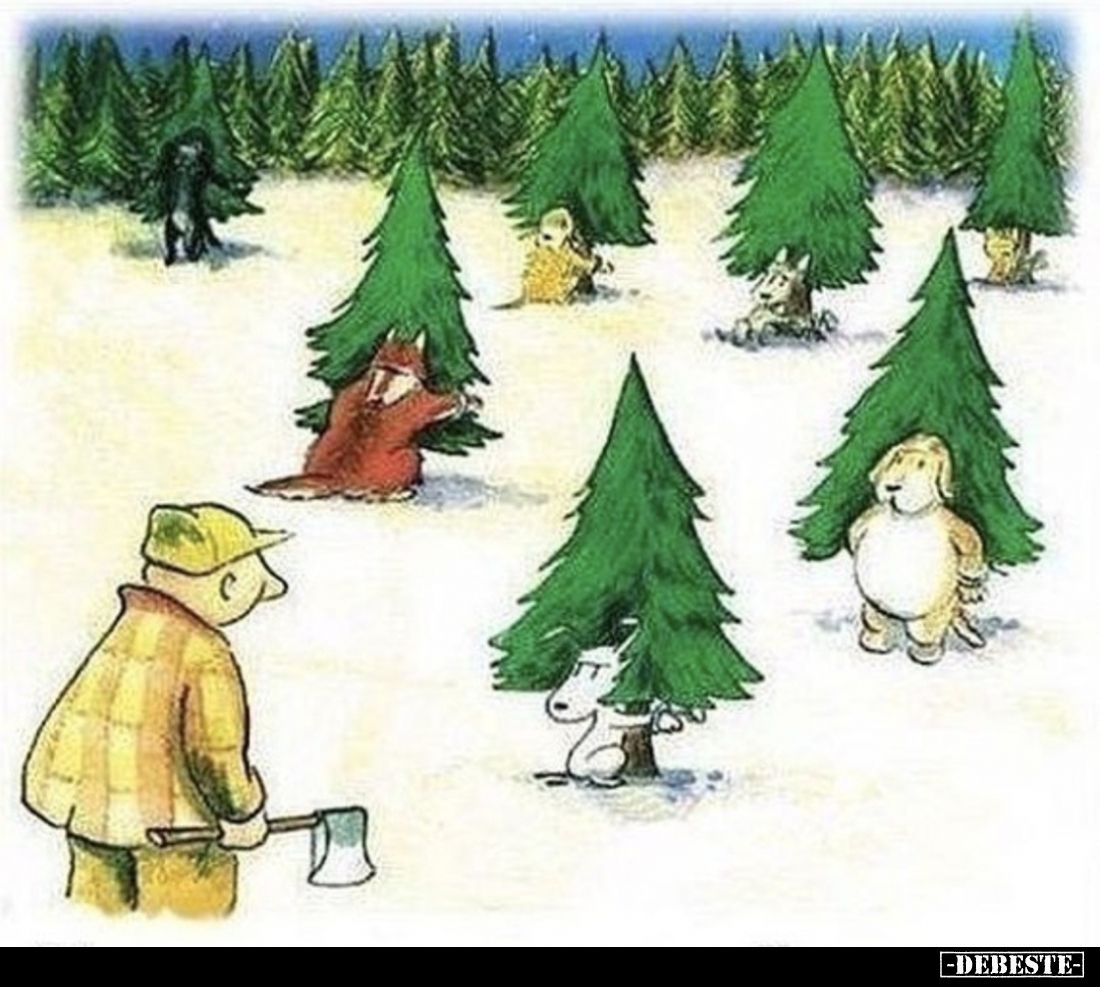  - Lustige Bilder | DEBESTE.de