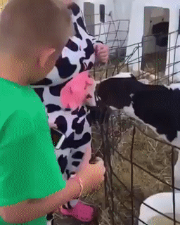 Wird auch akzeptiert...