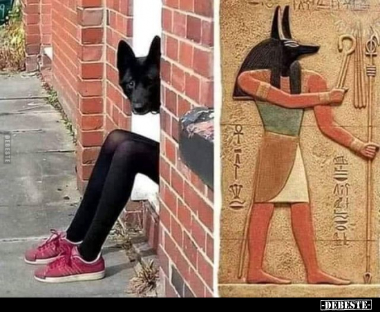  - Lustige Bilder | DEBESTE.de