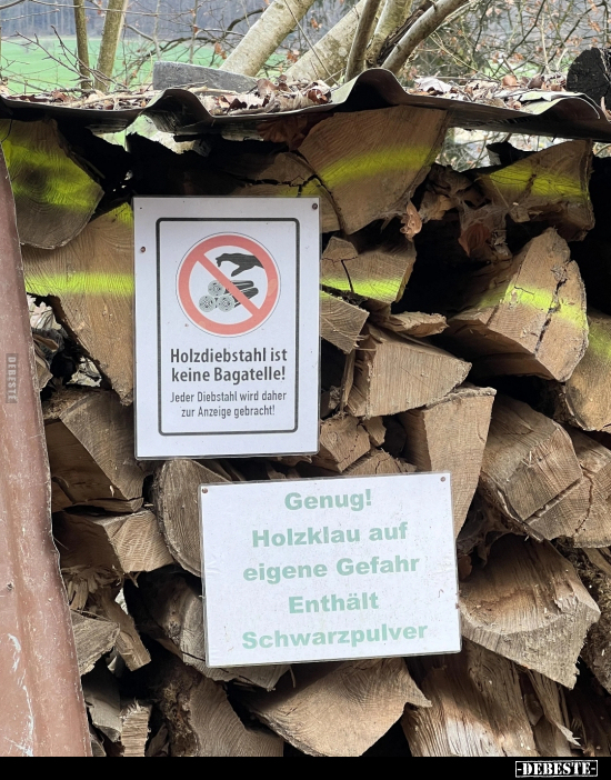Holzdiebstahl ist keine Bagatelle!.. - Lustige Bilder | DEBESTE.de