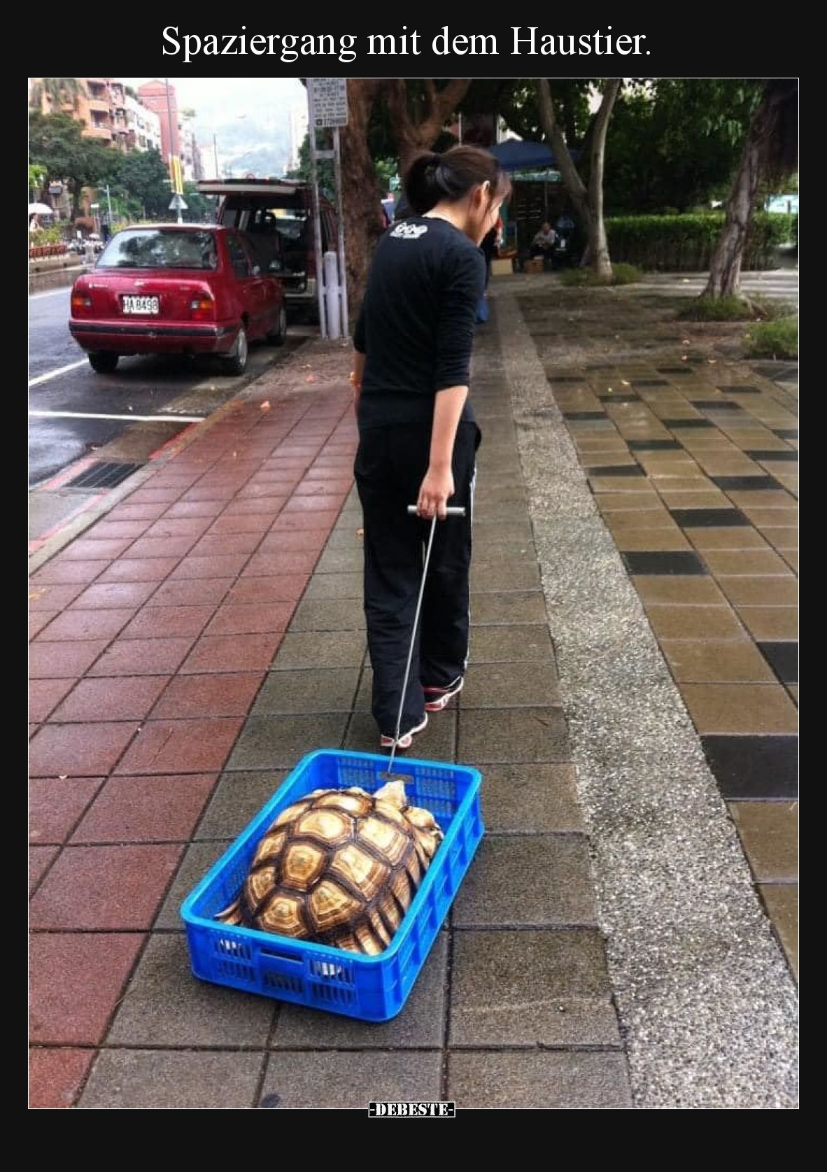 Spaziergang mit dem Haustier.