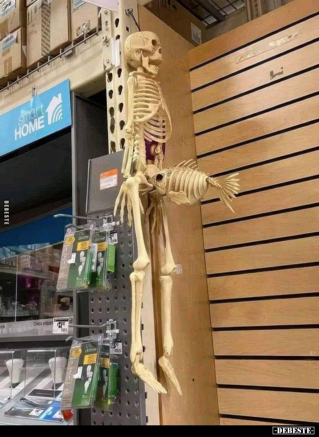  - Lustige Bilder | DEBESTE.de