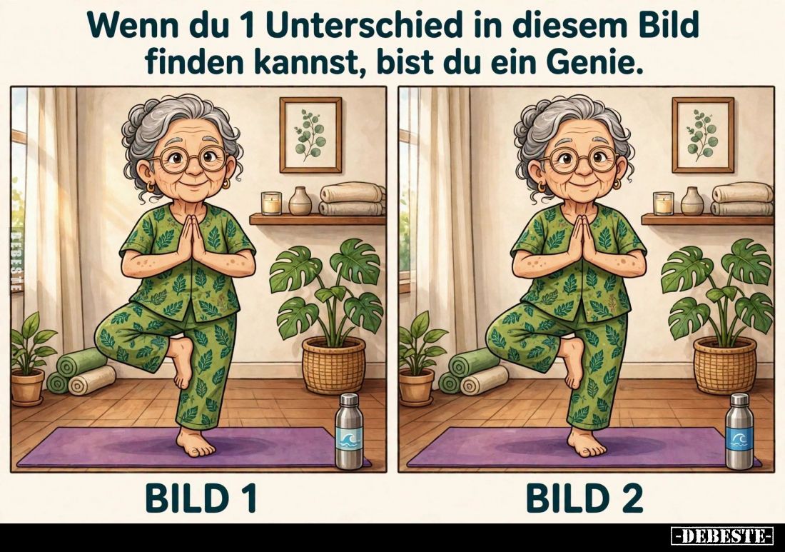 Wenn du 1 Unterschied in diesem Bild finden kannst, bist du ein Genie.