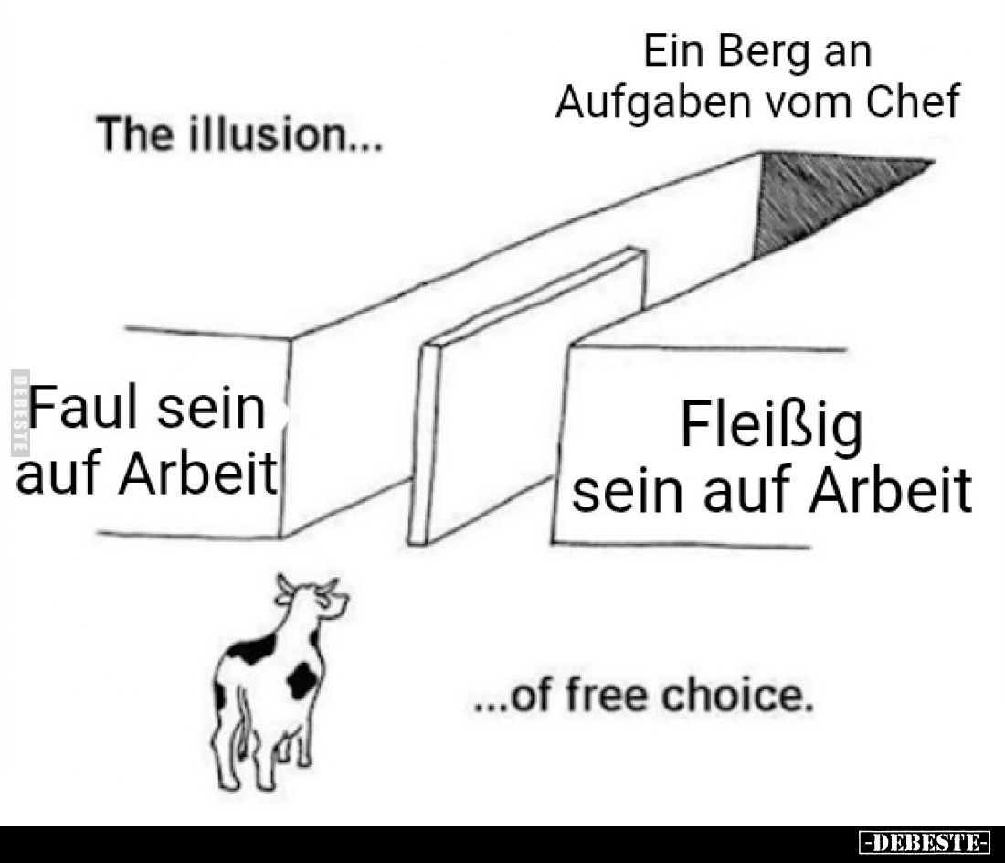  - Lustige Bilder | DEBESTE.de
