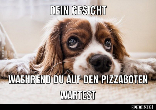 Dein Gesicht während du auf den Pizzaboten wartest...