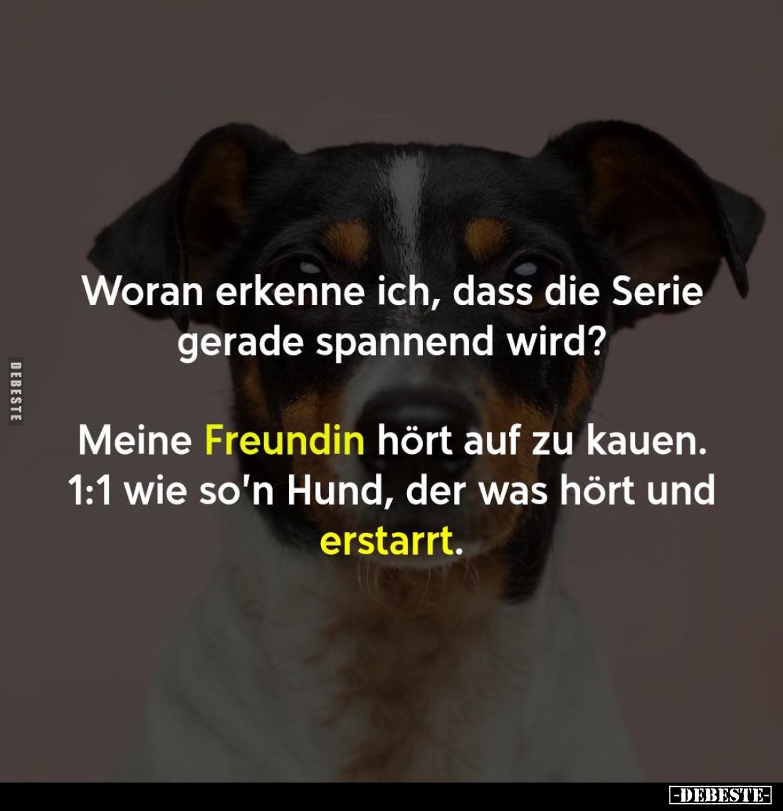 Woran erkenne ich, dass die Serie gerade spannend wird?
Meine Freundin hört auf zu kauen. 1:1 wie so'n Hund, der was hört un...