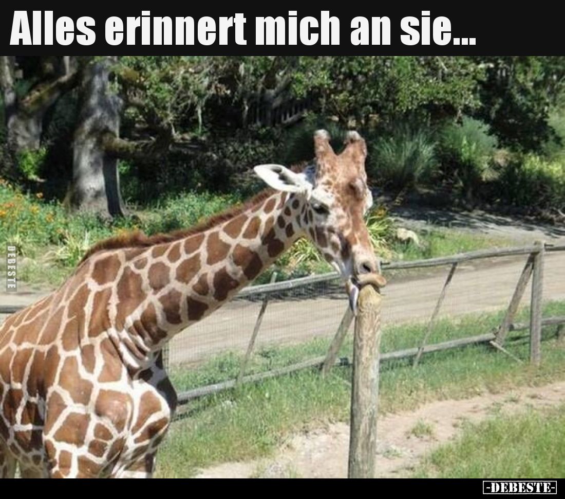 Alles erinnert mich an sie...