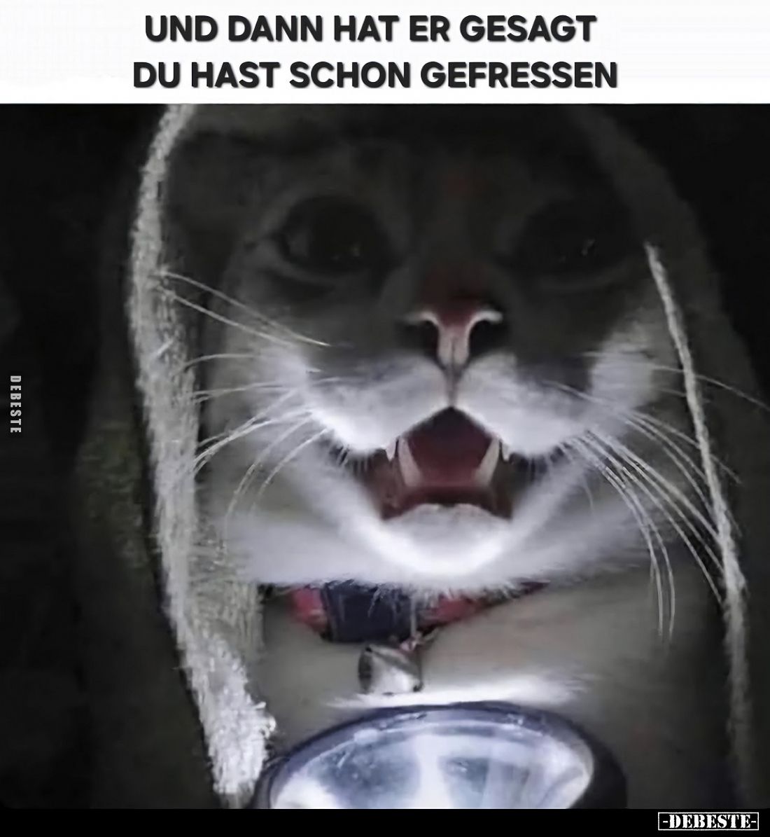 Und dann hat er gesagt, du hast schon gefressen.