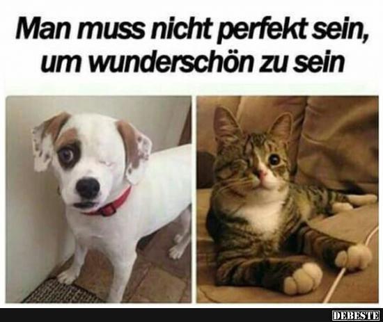 Man muss nicht perfekt sein, um wunderschön zu sein.