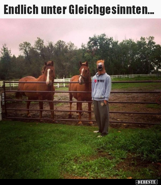 Endlich unter Gleichgesinnten...