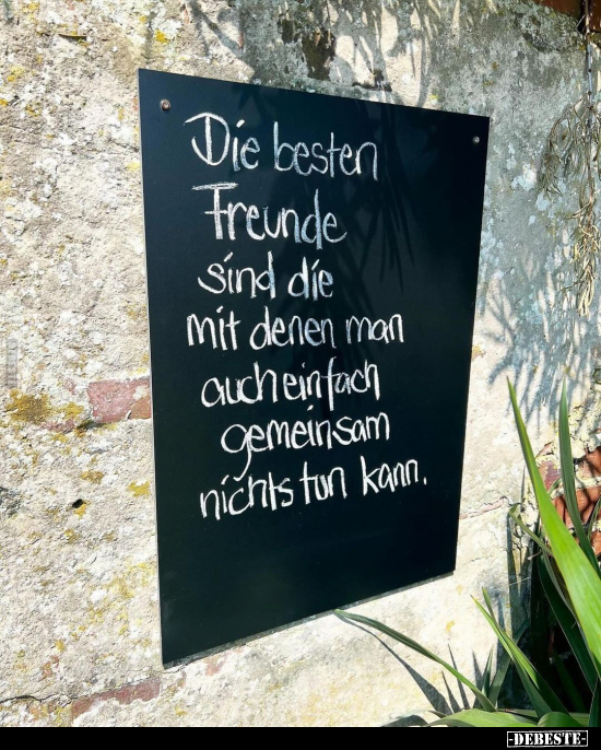 Die besten Freunde sind.. - Lustige Bilder | DEBESTE.de